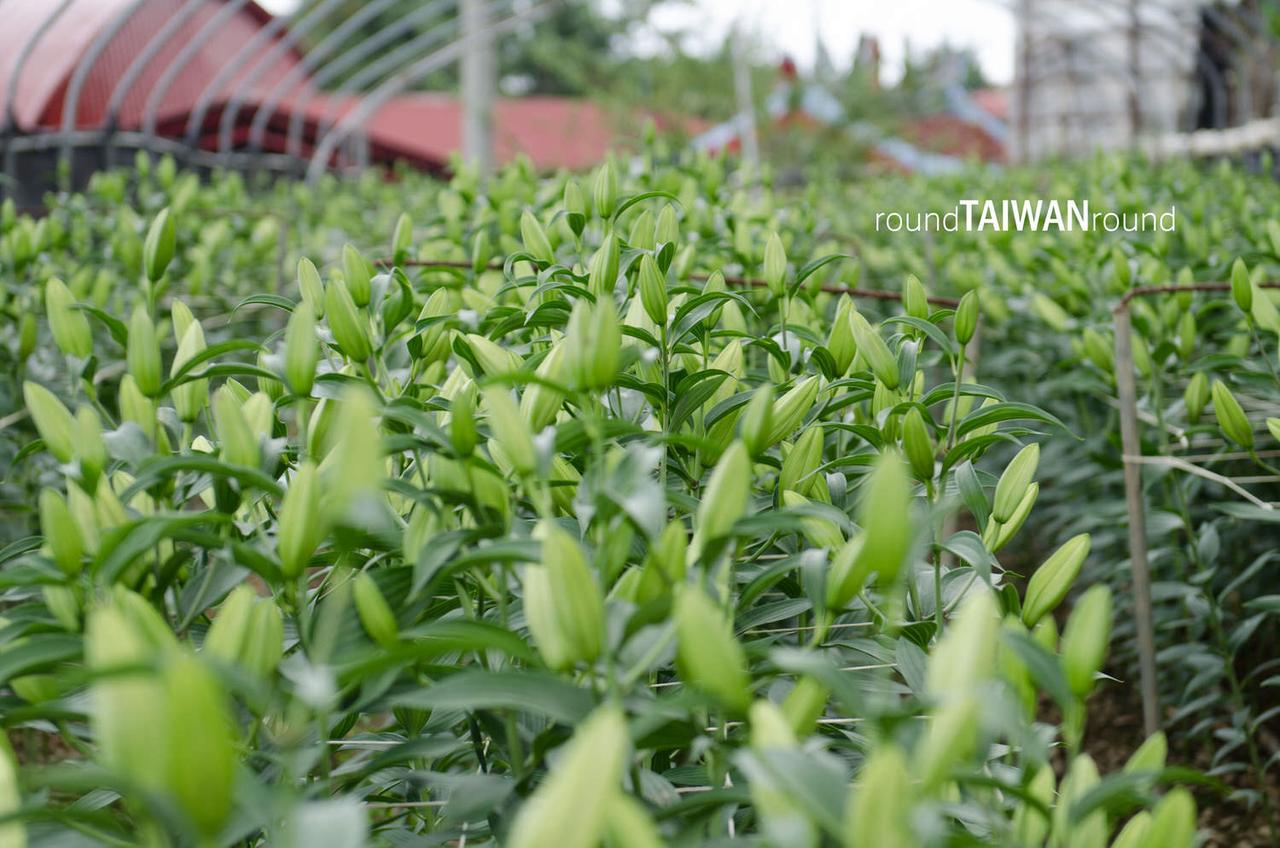 Bowang_Village_______-009.jpg