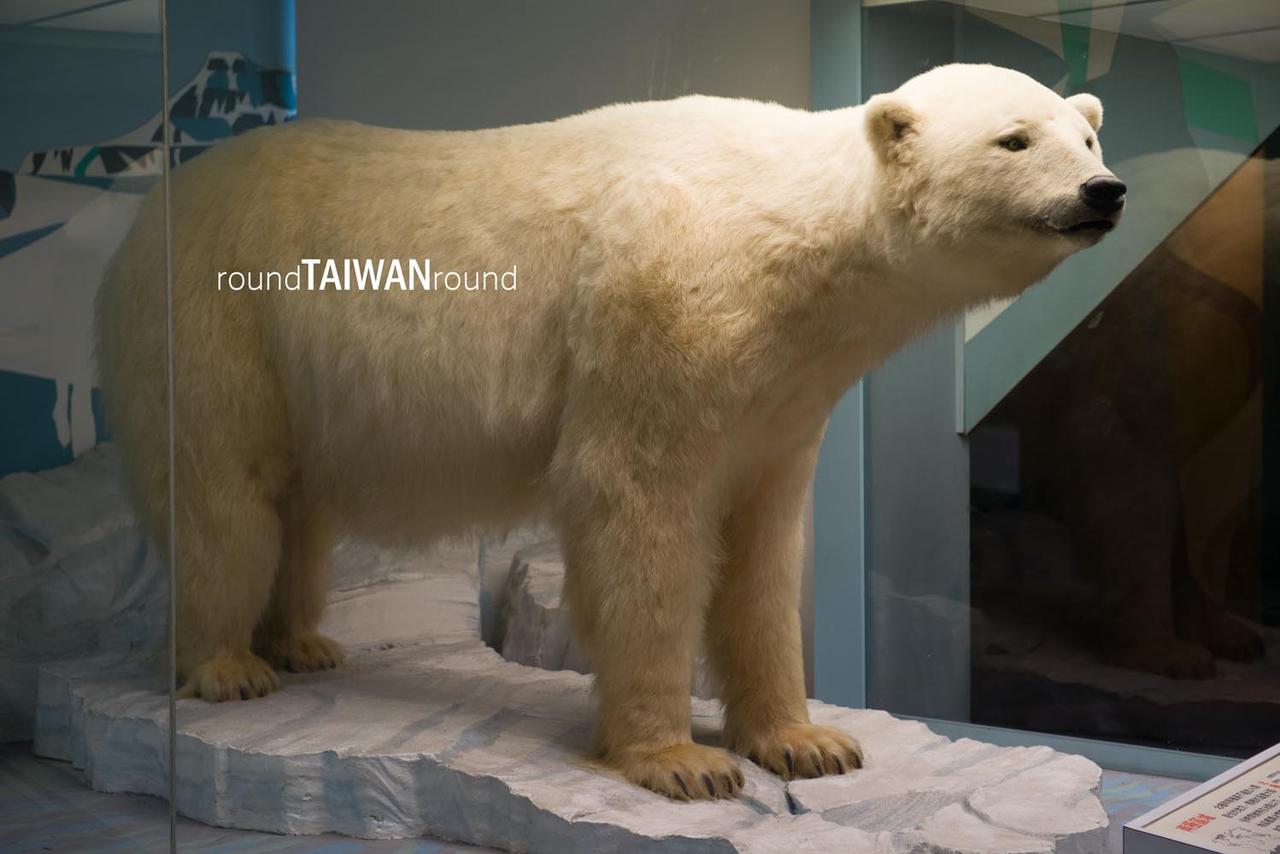 National_Museum_of_Natural_Science____________-013.jpg