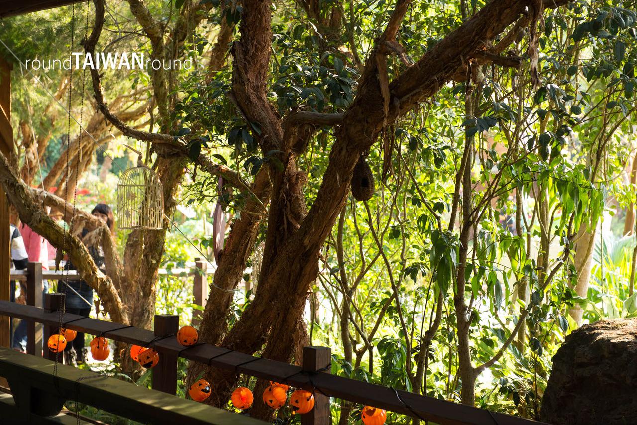 Princess_Annie_s_Garden_________-017.jpg