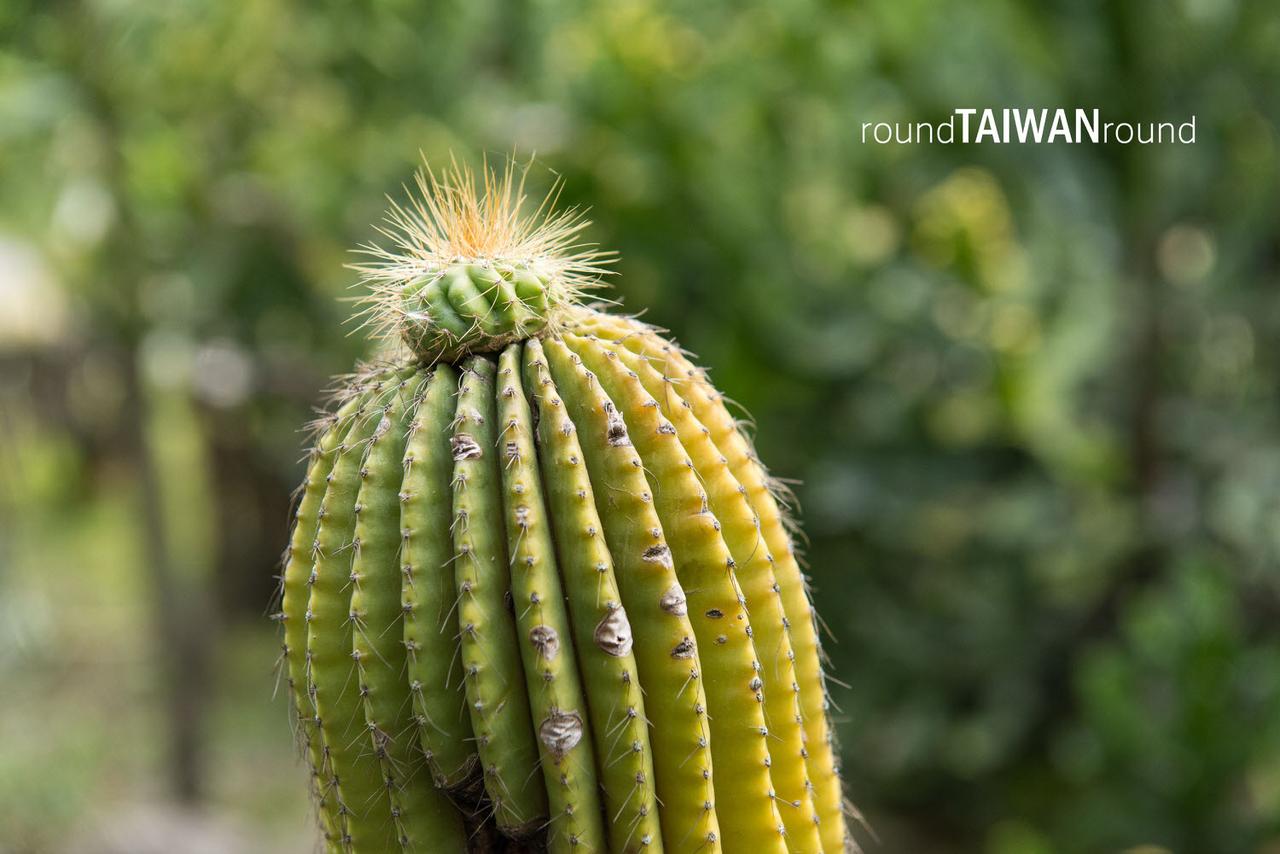 Taipei_Botanical_Garden________-020.jpg