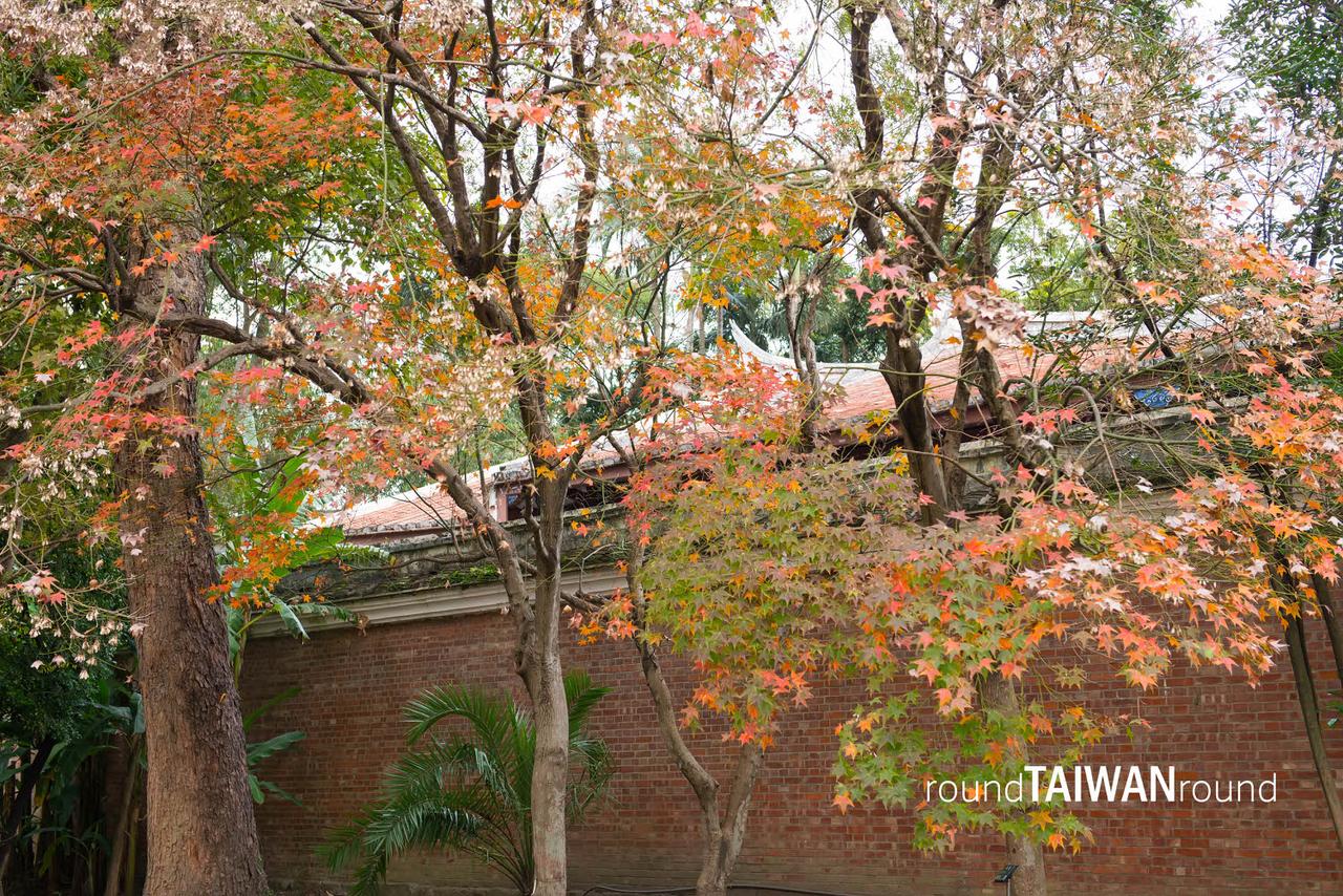 Taipei_Botanical_Garden________-023.jpg