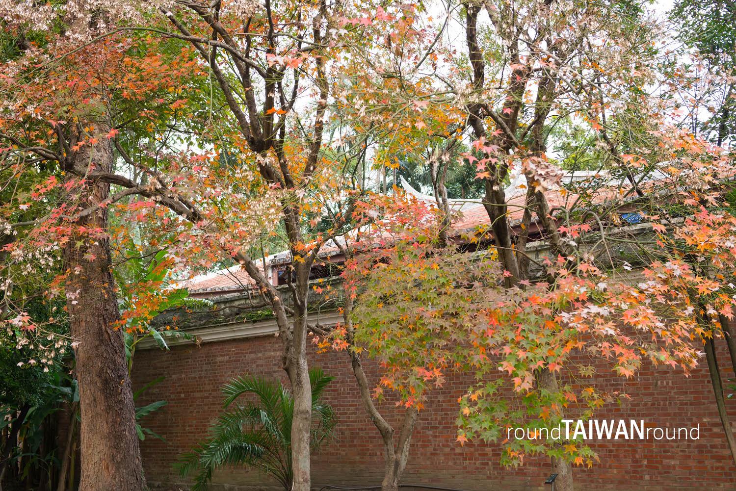 Taipei_Botanical_Garden________-023.jpg