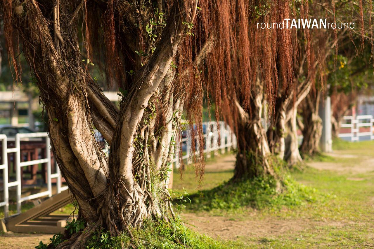 National_Chengchi_University_________-008.jpg
