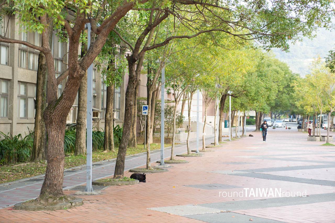National_Chengchi_University_________-007.jpg
