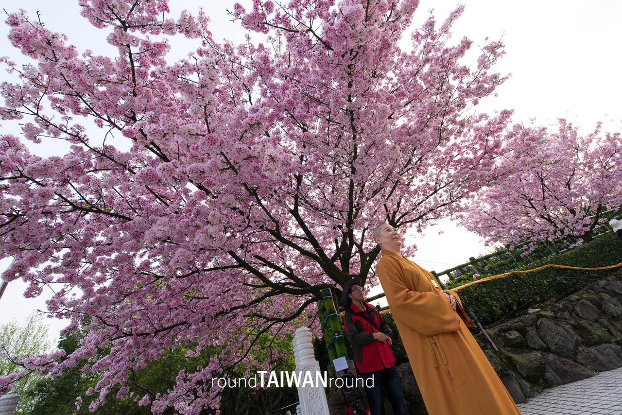Wuji_Tianyuan_Temple________-001.jpg