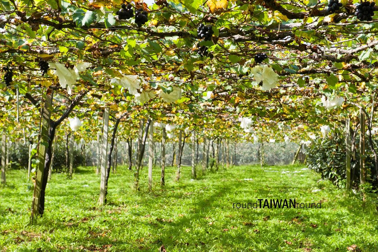 Xinfeng_Farm_______-003.jpg