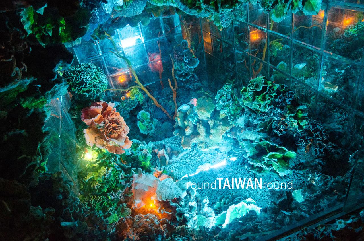 Dayi_Temple______-014.jpg