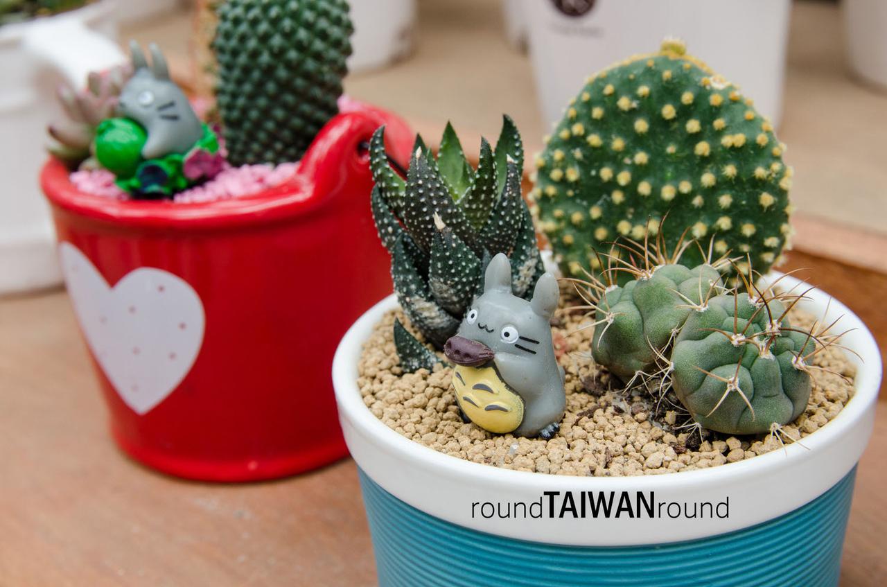 Qingwan_Cactus_Park__________-017.jpg