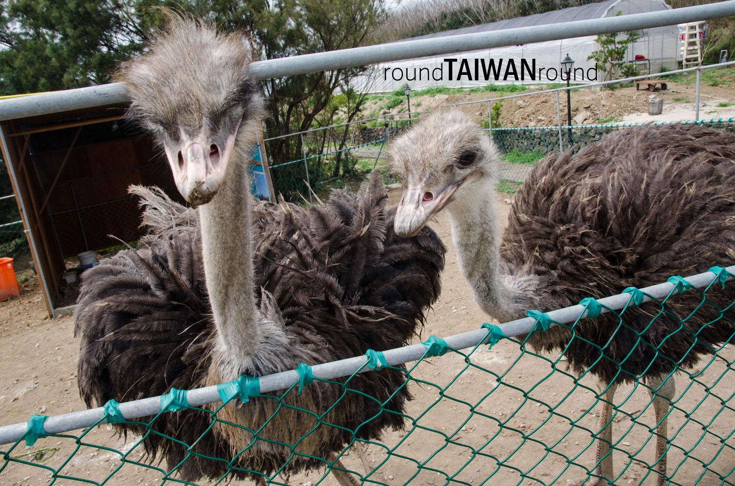 Qingwan_Cactus_Park__________-023.jpg