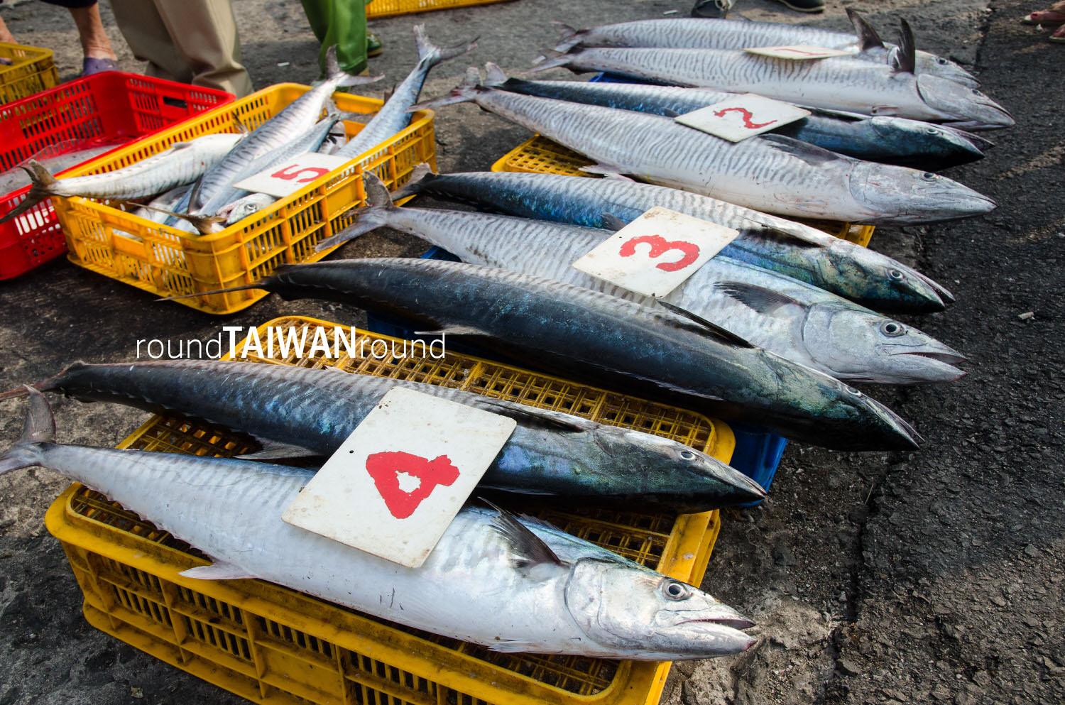 Suogang_Fish_Port_______-044.jpg