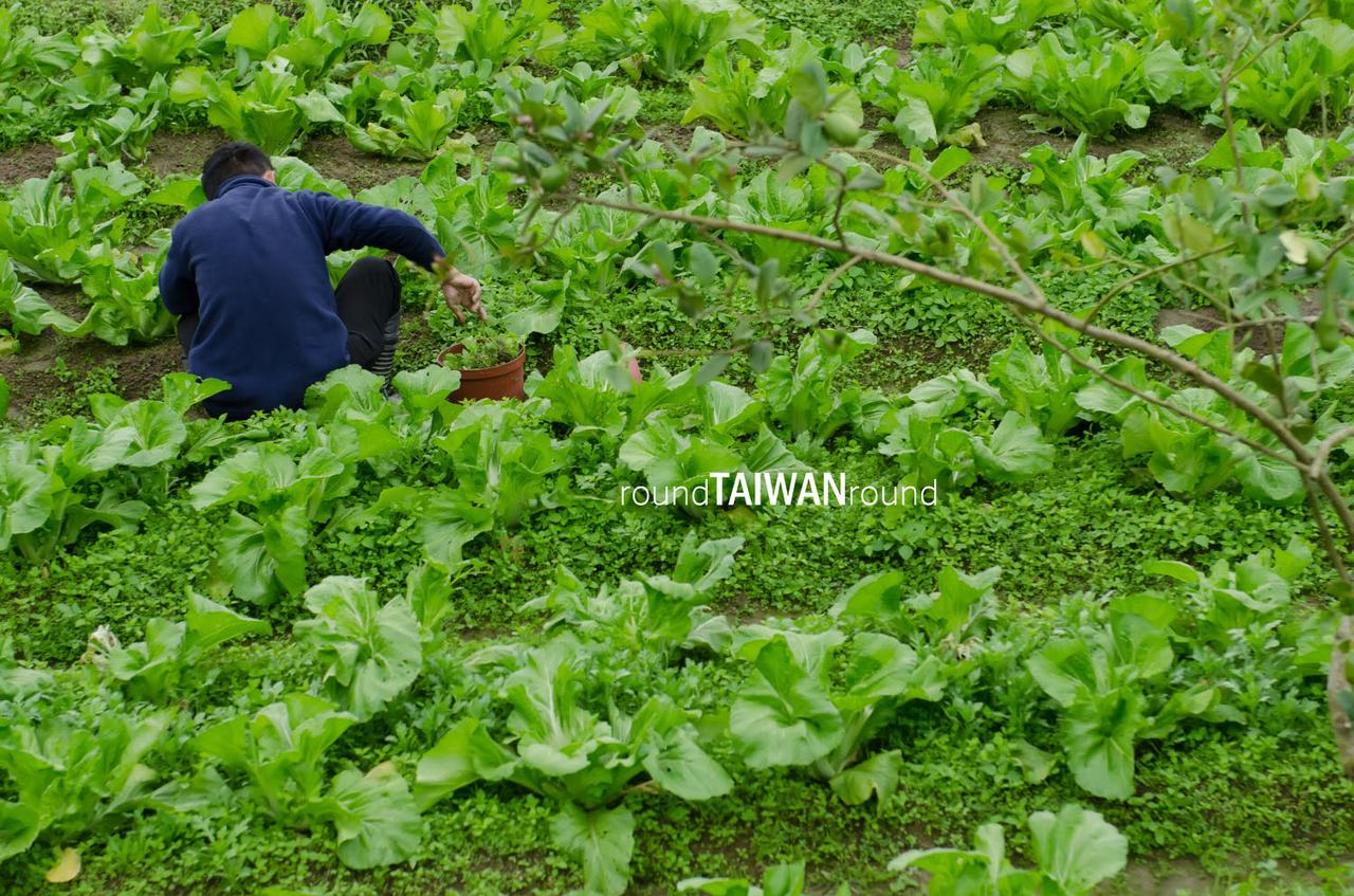 Zhuo_Ye_Cottage_______-024.jpg