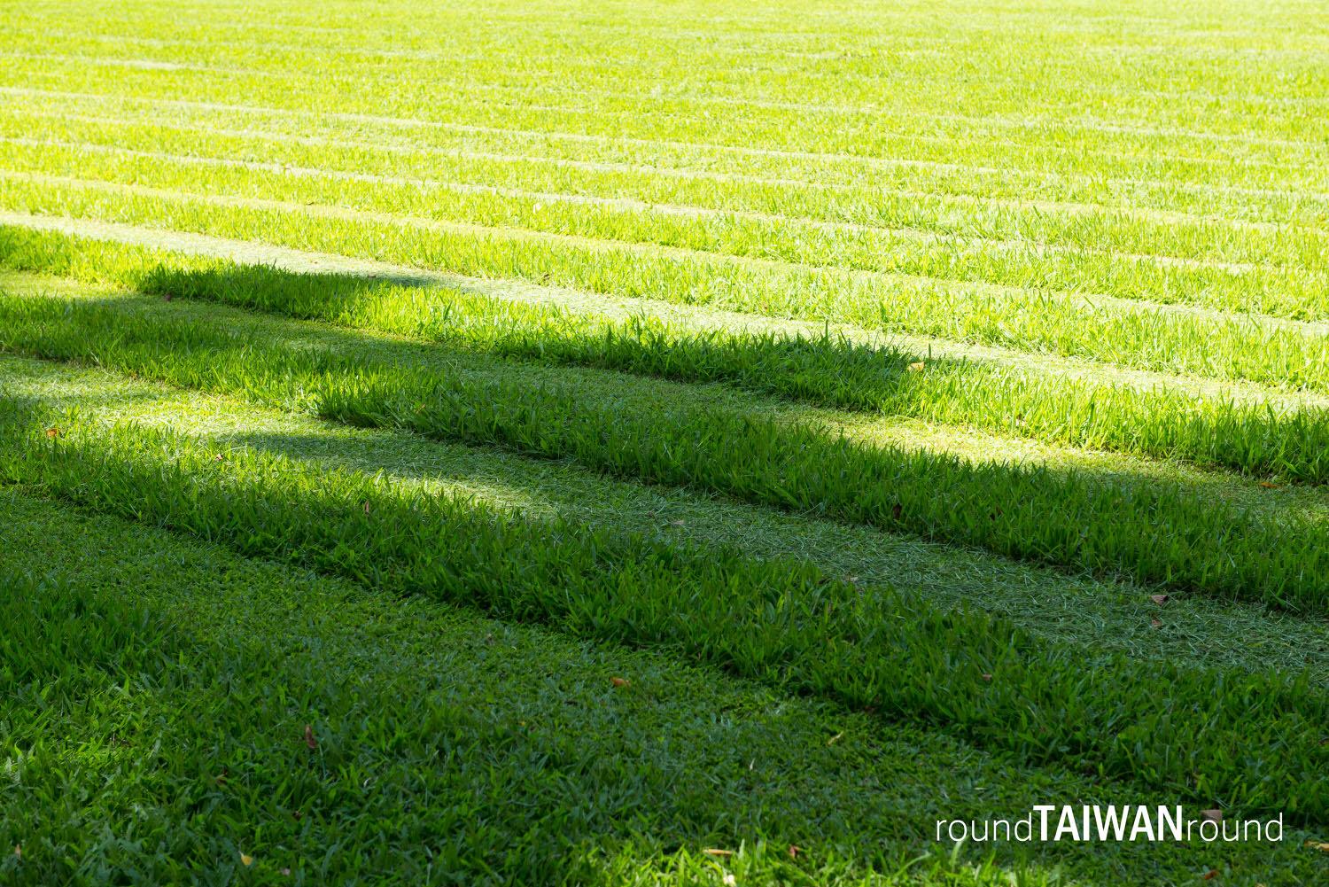 Taichung_City_Hall_______-008.jpg