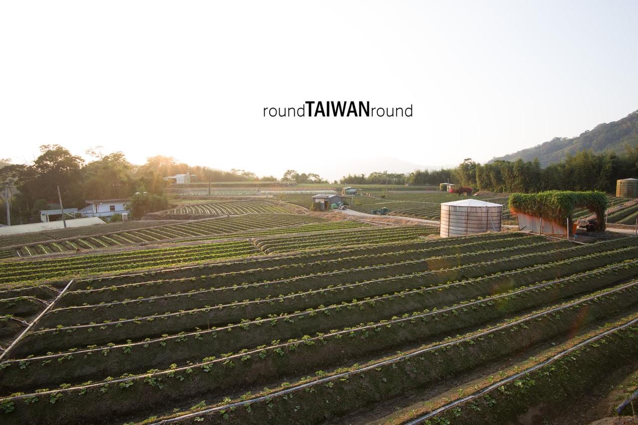 Dahu_Strawberry_Picking_______-002.jpg