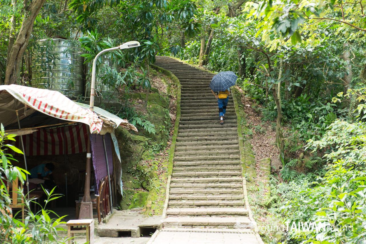 Tiger_Mountain_____-007.jpg