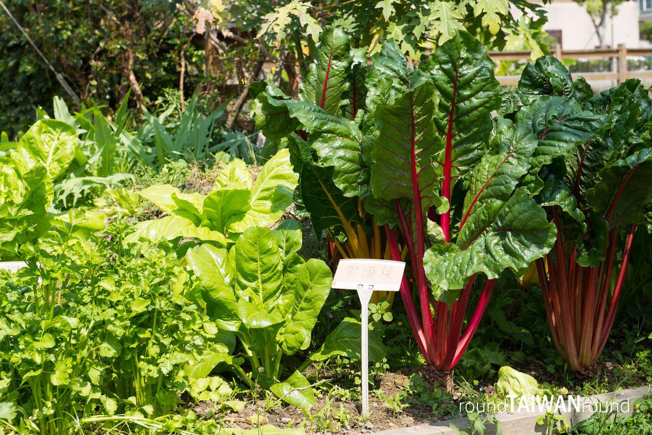 Taoleli_Vegan__________-022.jpg
