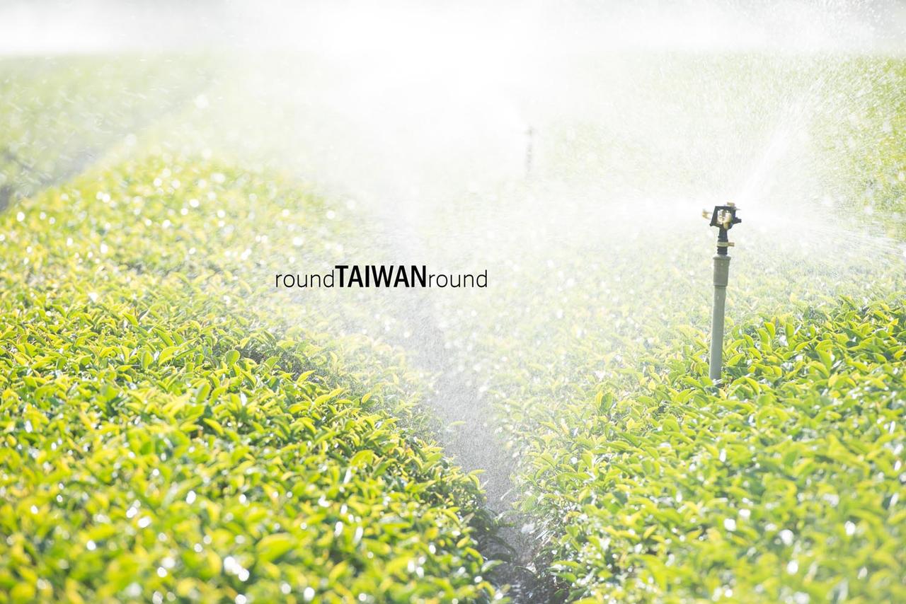Minjian_Tea_Farm__________-008.jpg