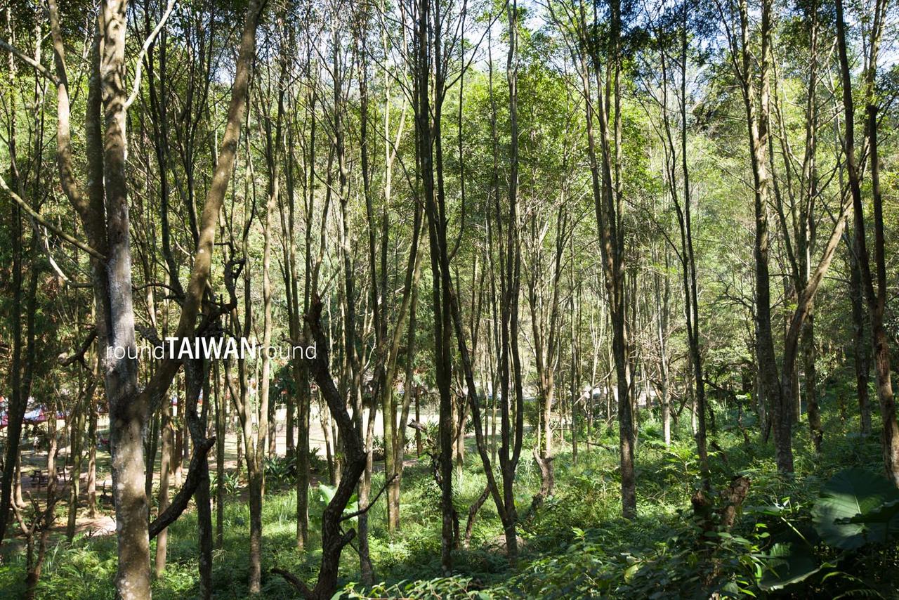 Huisun_Forest_______-001.jpg