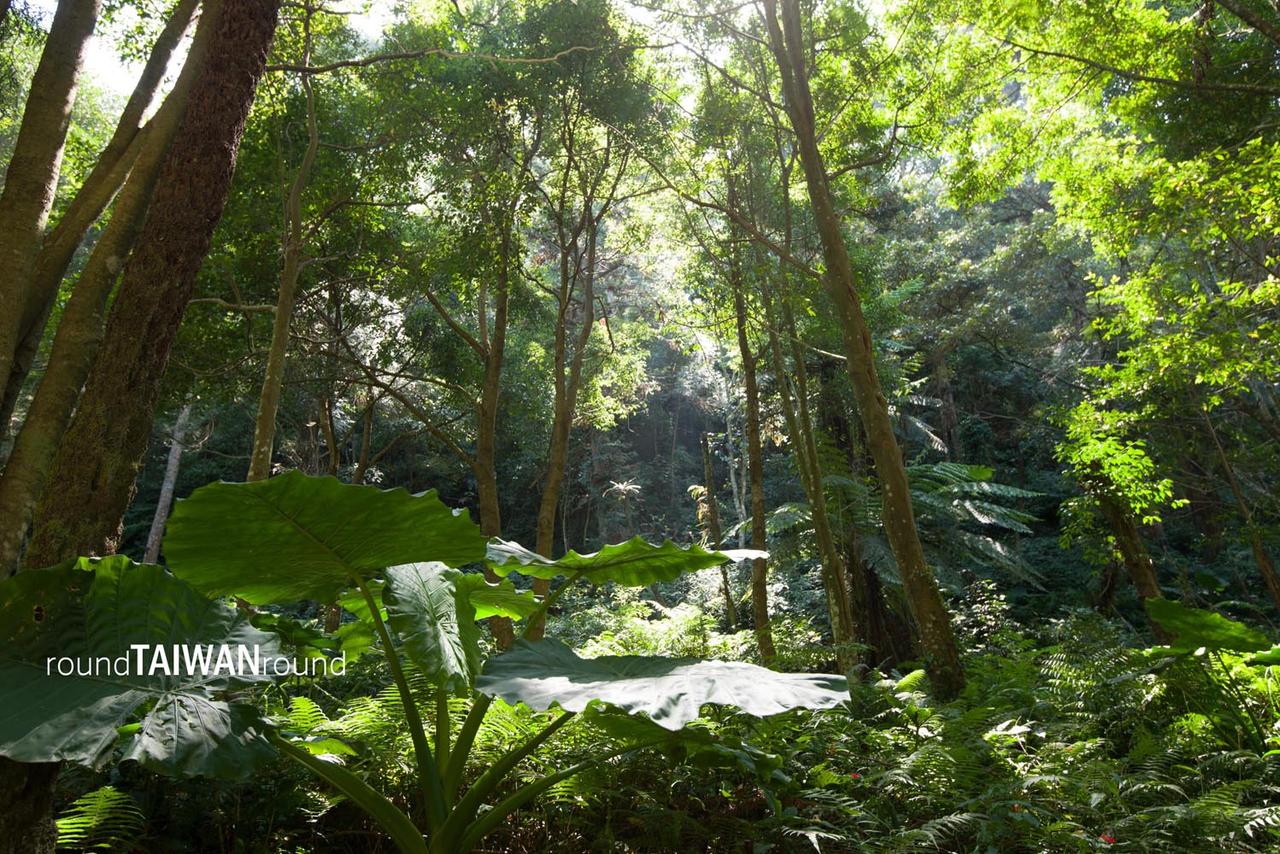 Huisun_Forest_______-003.jpg