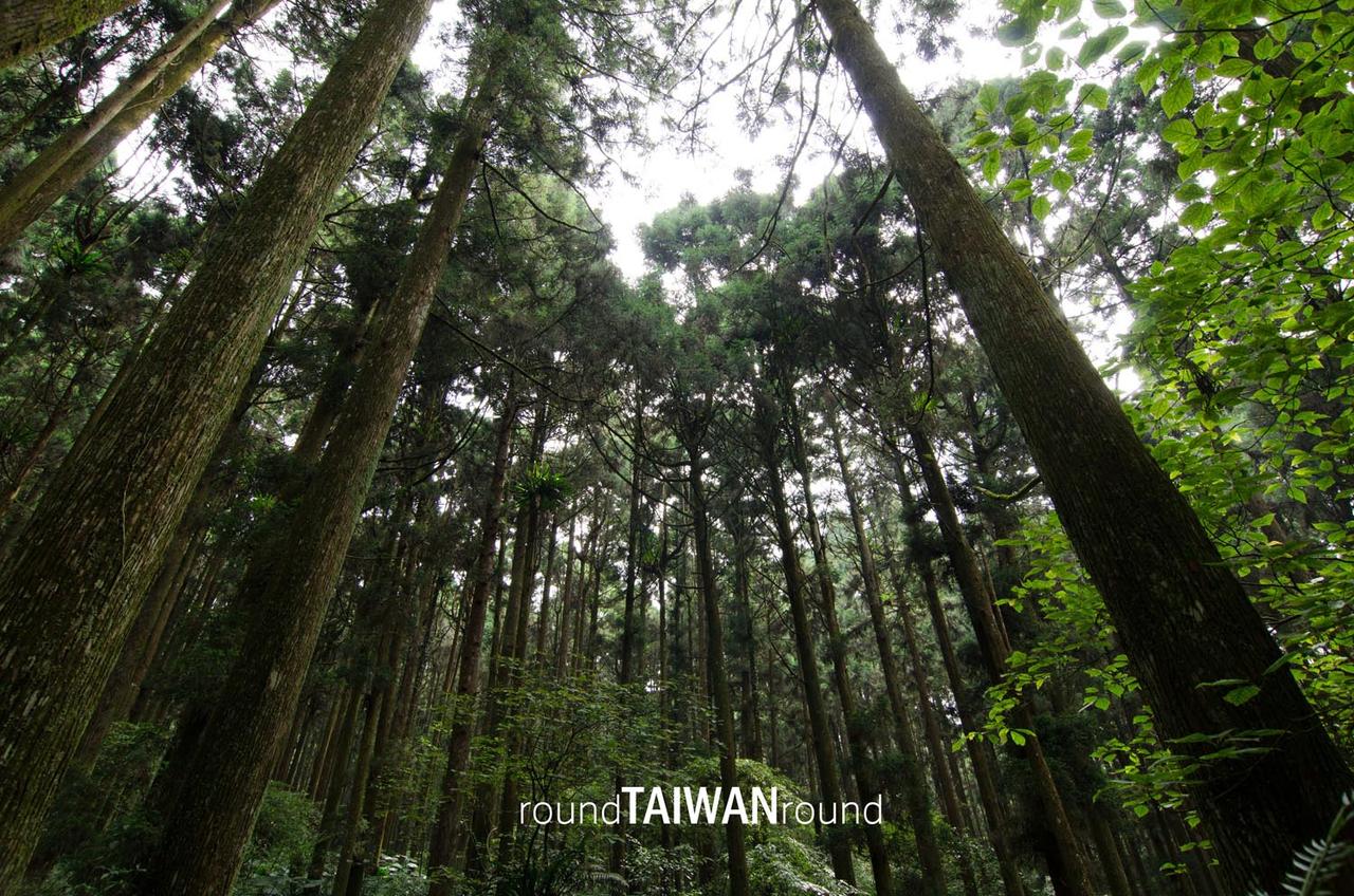 Xitou_Nature_Education_Area__________-004.jpg