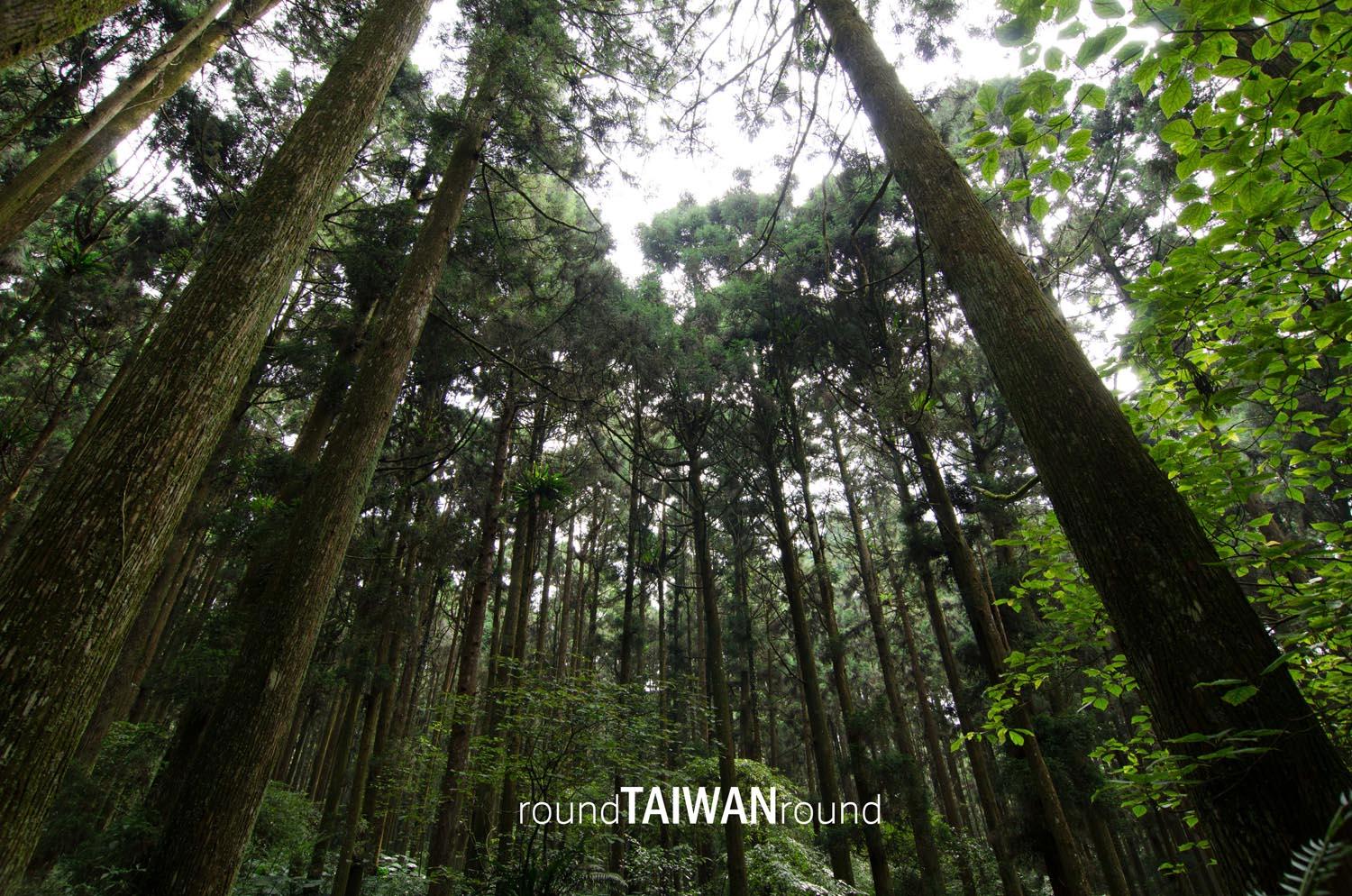 Xitou_Nature_Education_Area__________-004.jpg