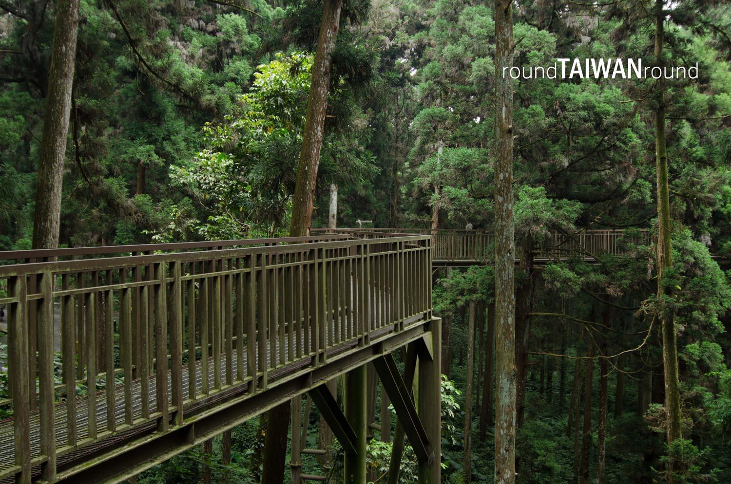 Xitou_Nature_Education_Area__________-006.jpg
