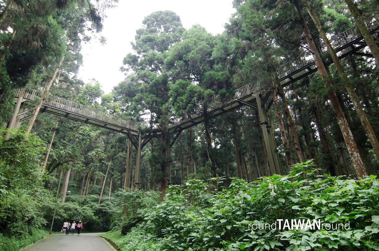 Xitou_Nature_Education_Area__________-008.jpg