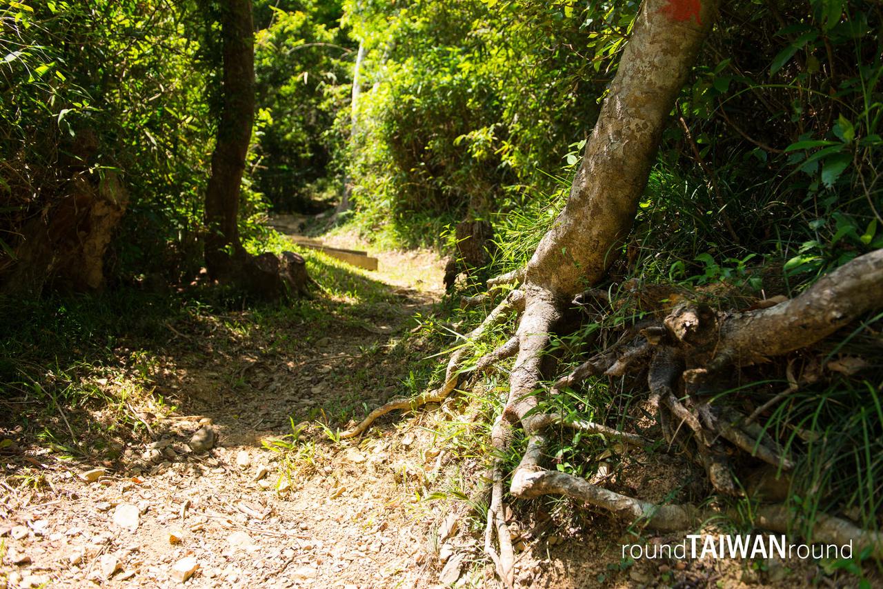Shuangliu_Forest_Recreation_Area__________-008.jpg