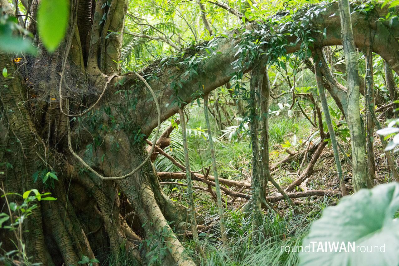 Shuangliu_Forest_Recreation_Area__________-024.jpg