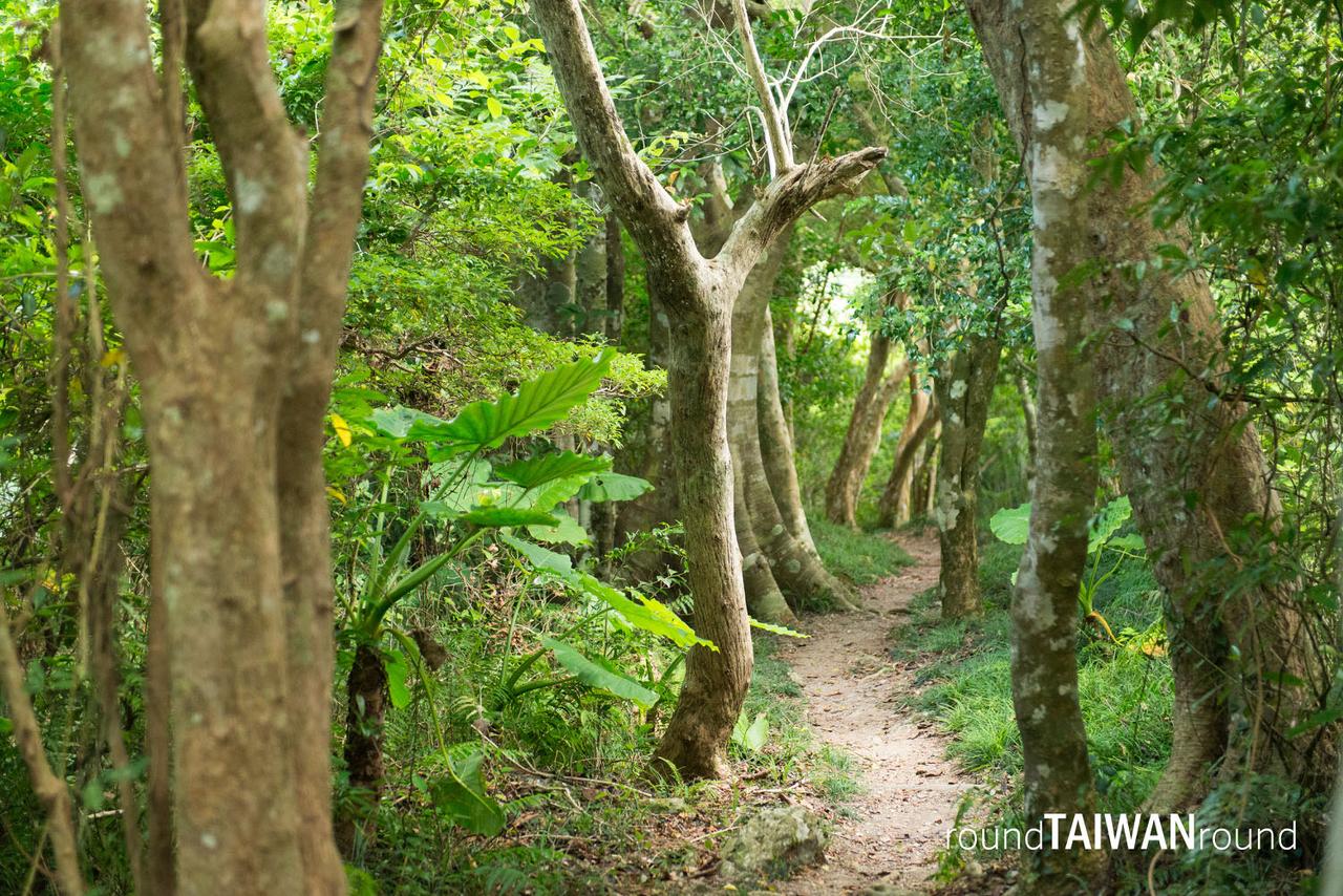 Shuangliu_Forest_Recreation_Area__________-029.jpg