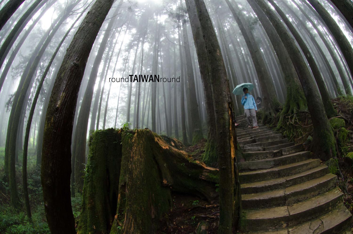 Alishan_Sisters_Ponds_________-005.jpg