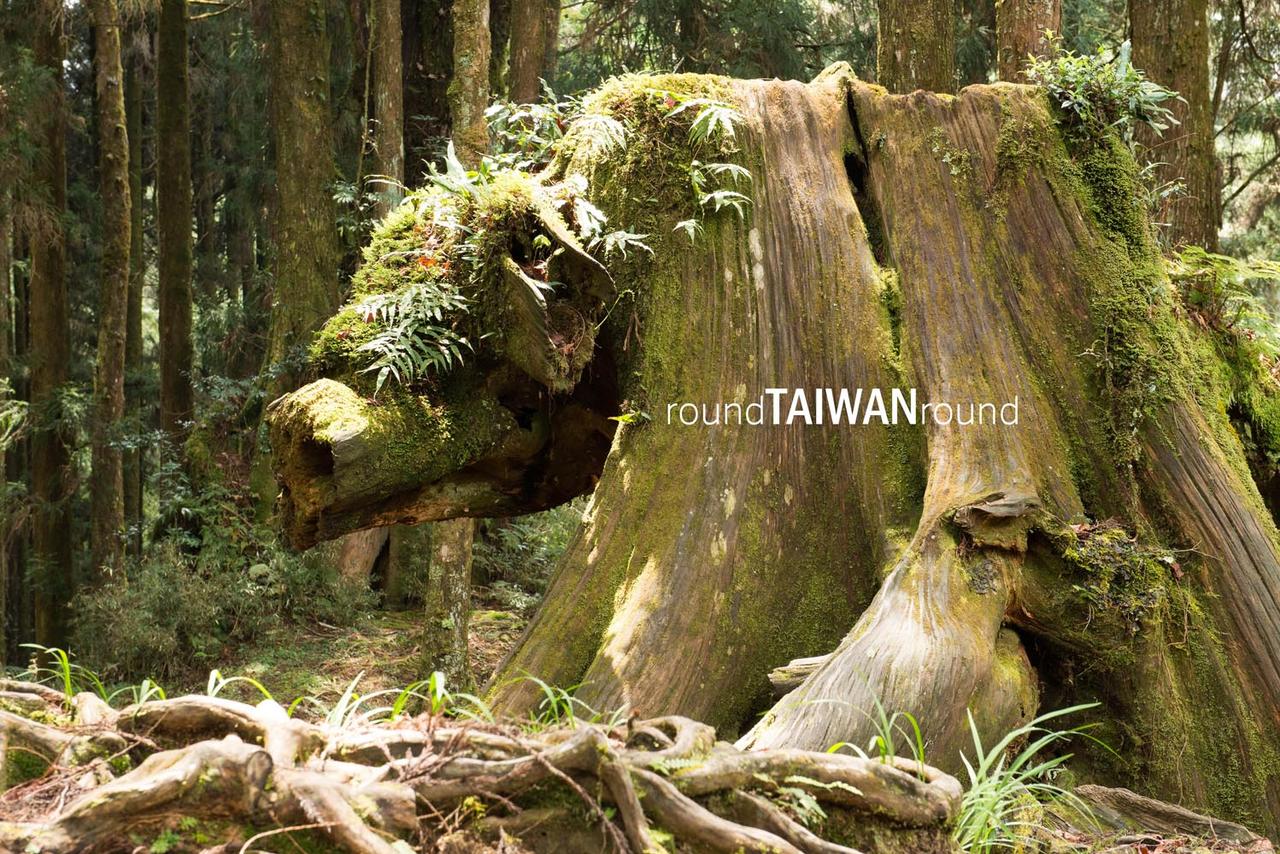 Alishan_Sisters_Ponds_________-015.jpg