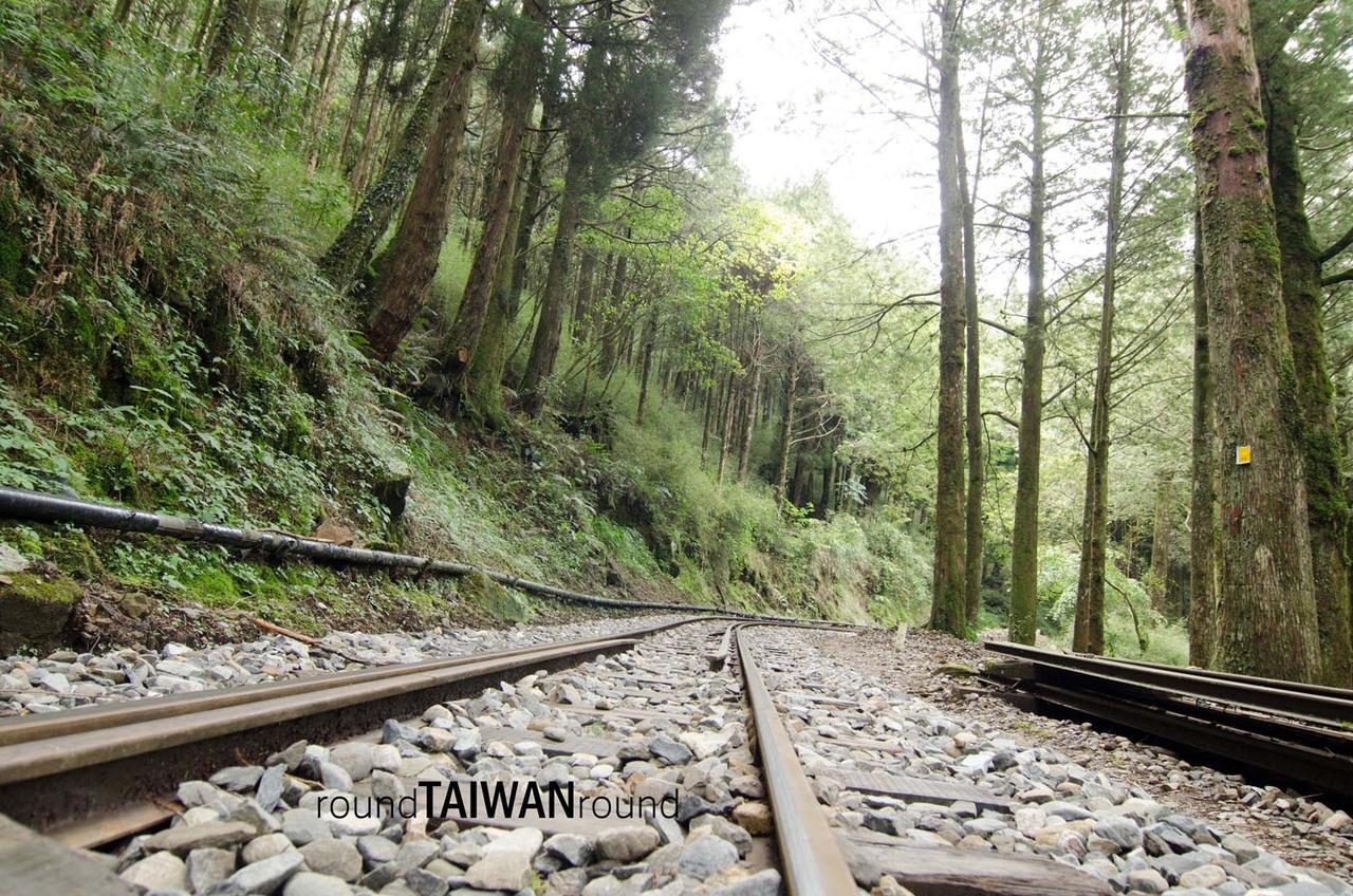 Alishan_Forest_Railway___________-001.jpg