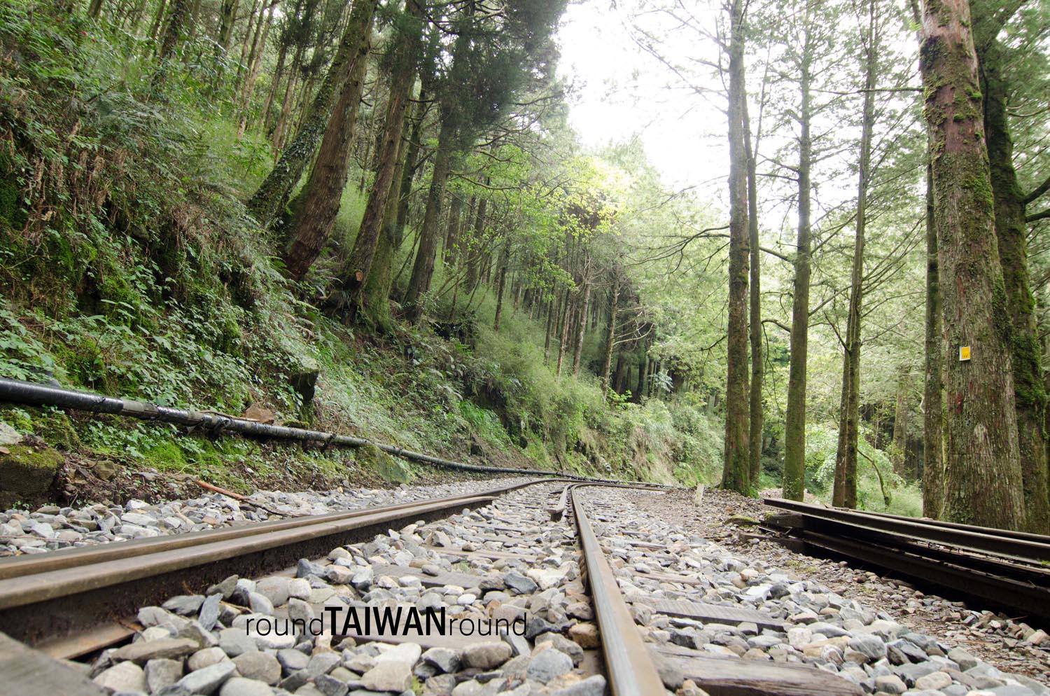 Alishan_Forest_Railway___________-001.jpg