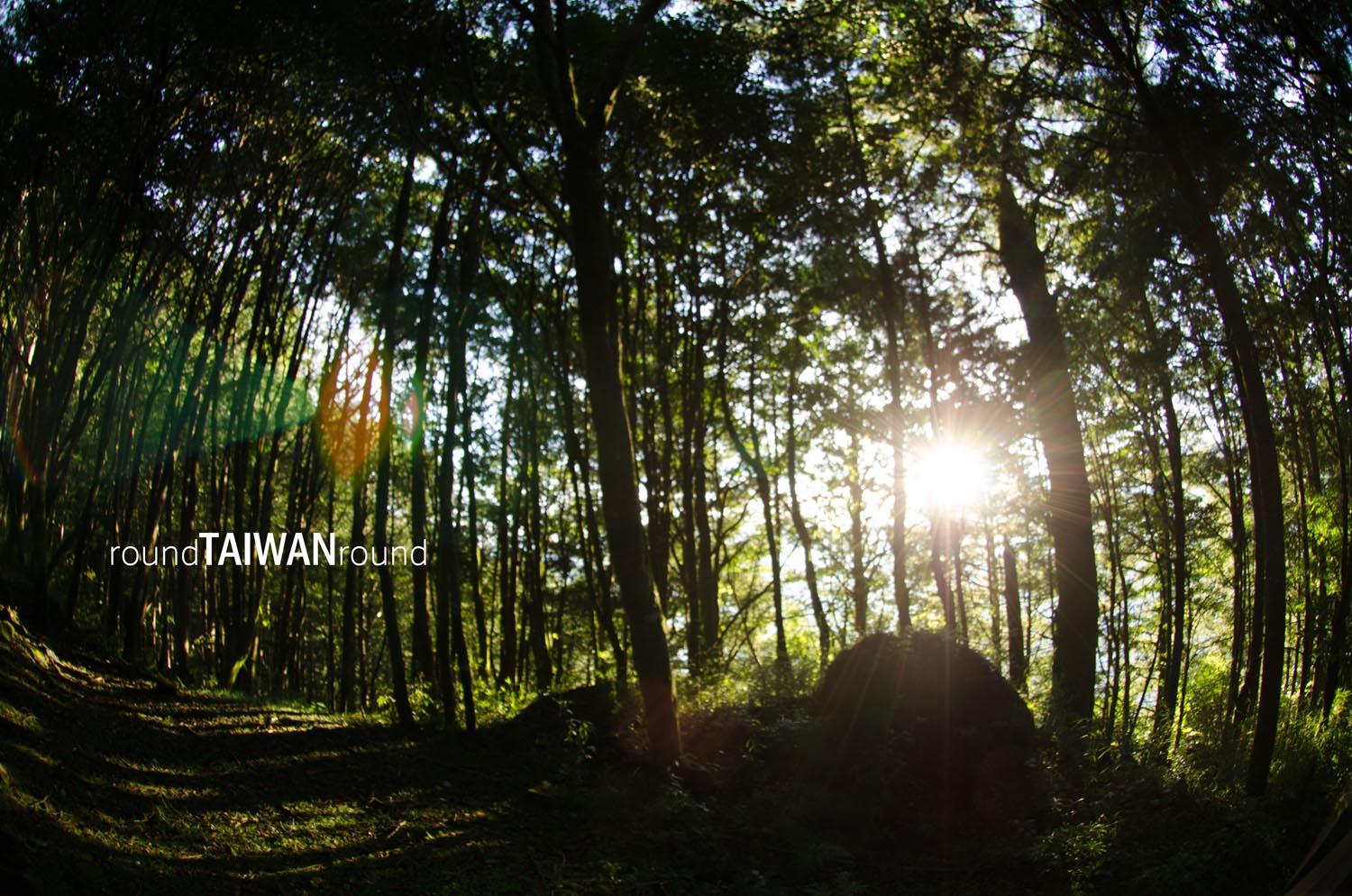 Alishan_Sunrise________-011.jpg