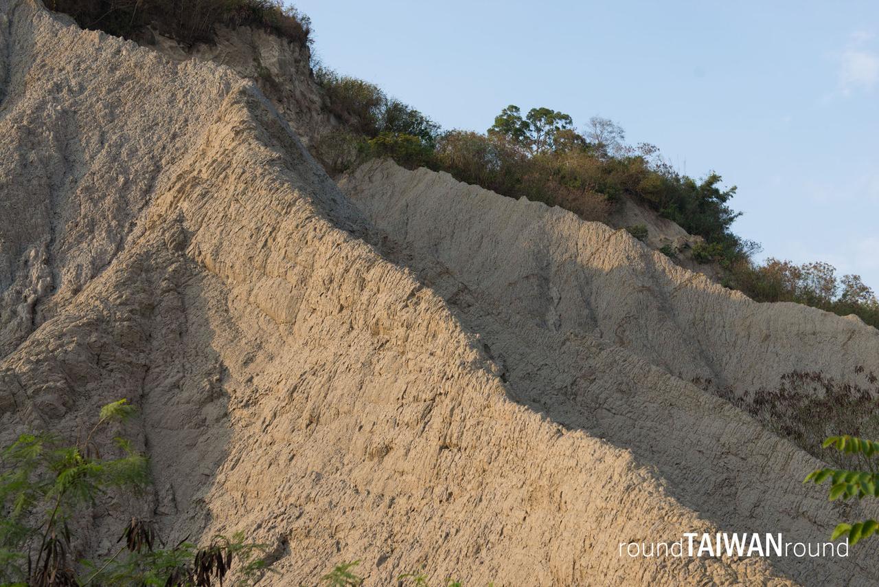 Niupu_Mudstone________________-026.jpg