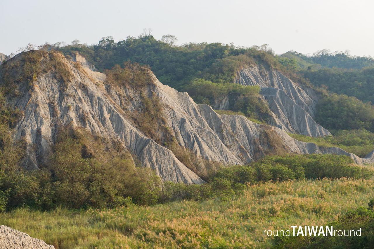 Niupu_Mudstone________________-041.jpg