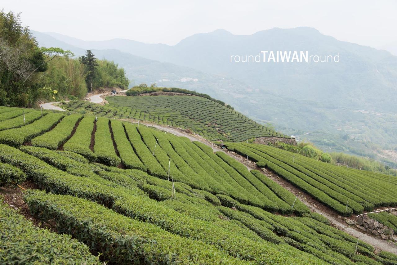 Alishan_Tea_Plantations________-024.jpg