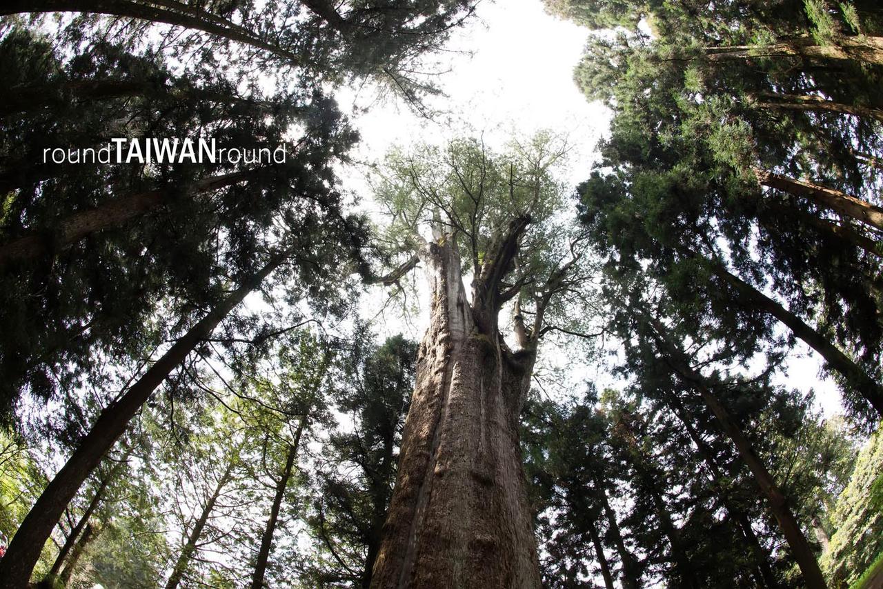 Giant_Tree_Trail________-010.jpg