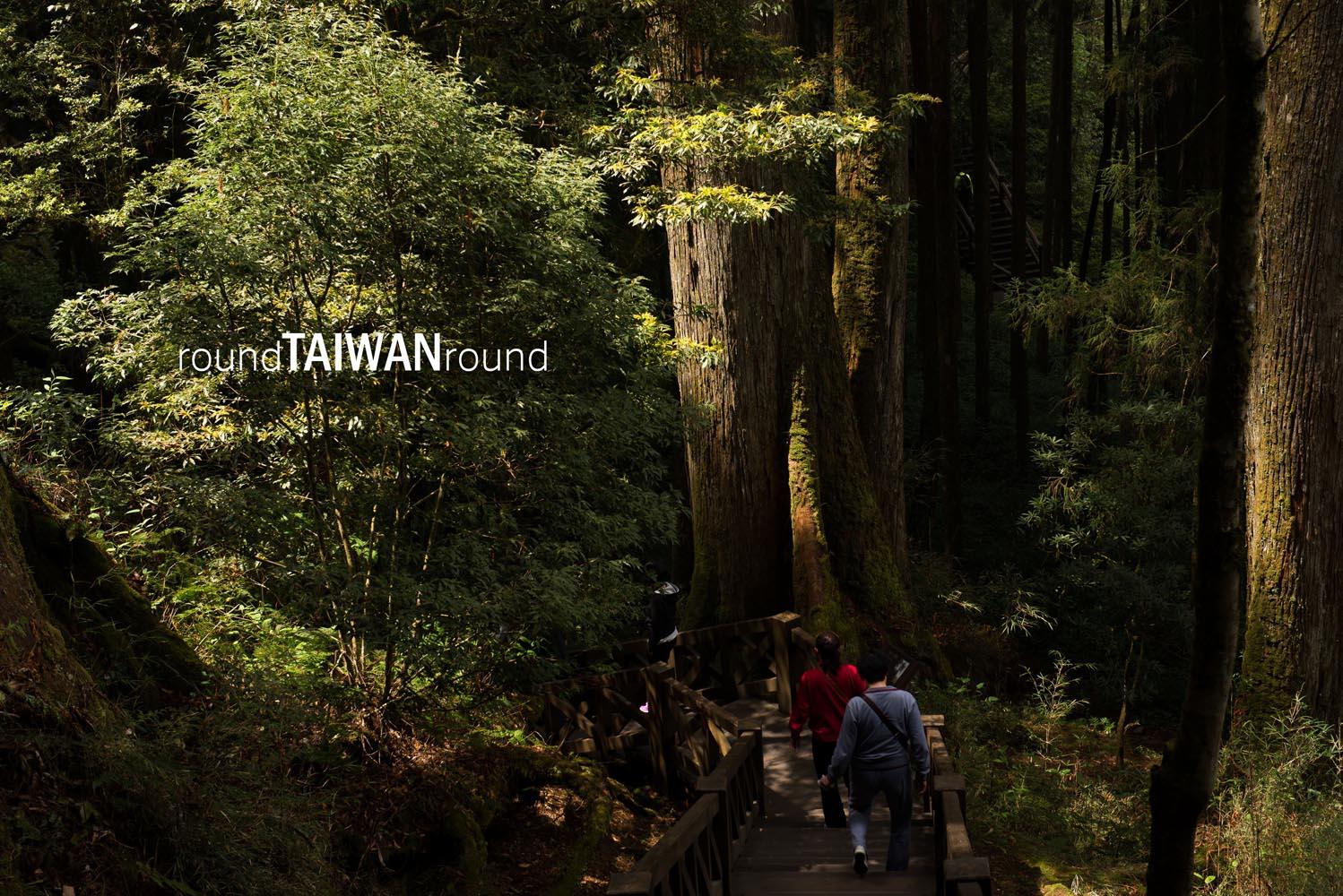 Giant_Tree_Trail________-011.jpg