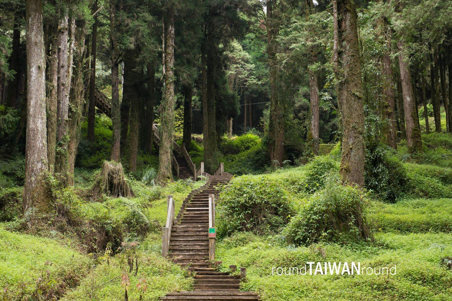 Tashan_Trail_______-003.jpg