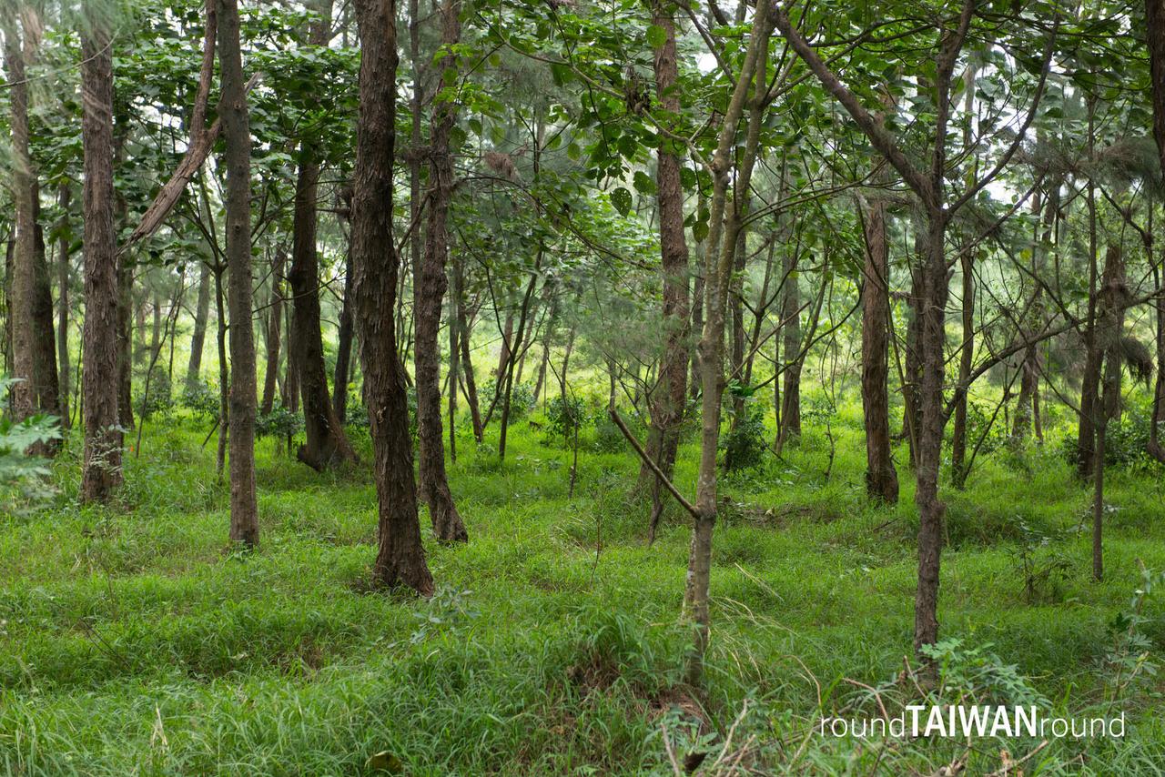 Taitung_Forest_Park_________-034.jpg