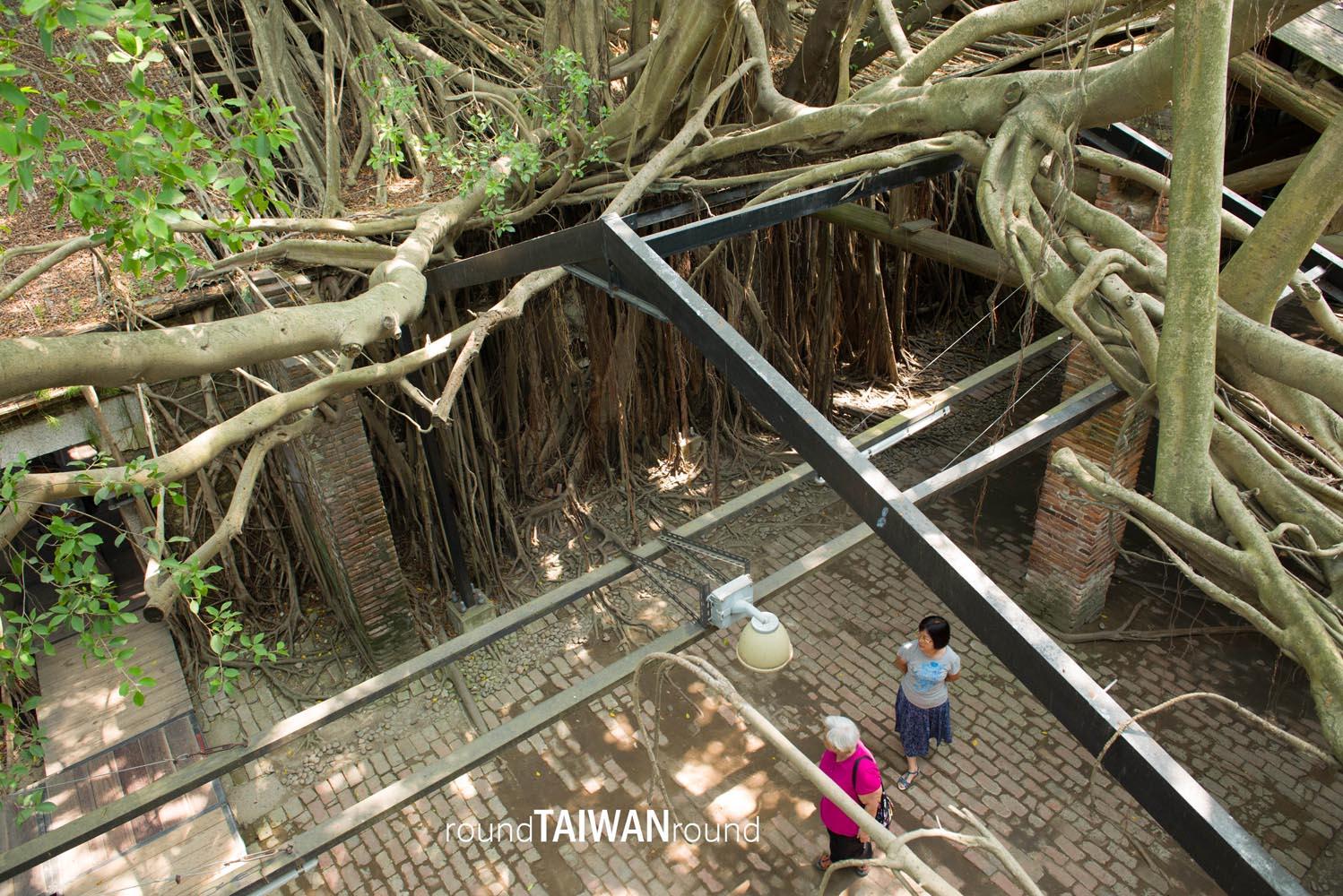 Anping_Tree_House_______-026.jpg