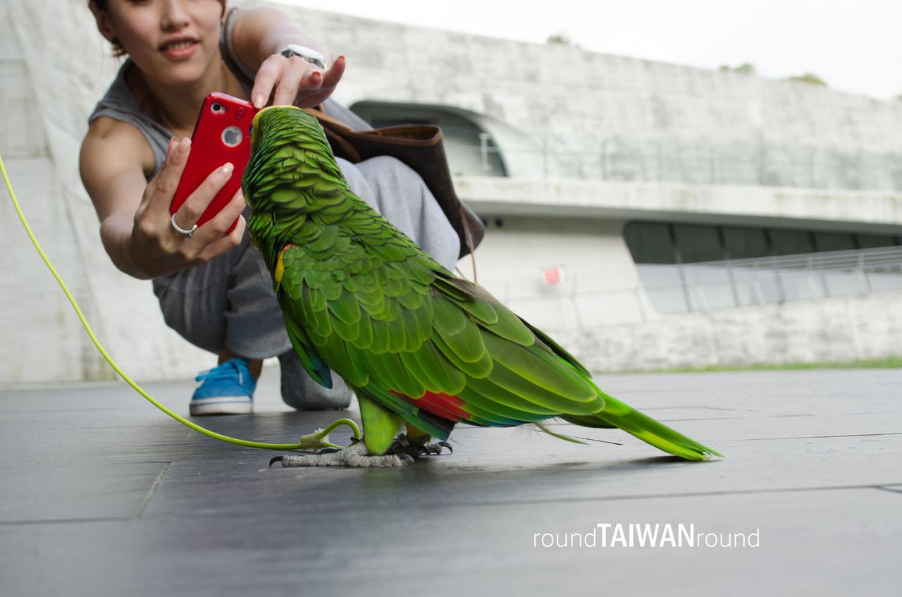 Xiangshan_Visitor_Center_________-023.jpg