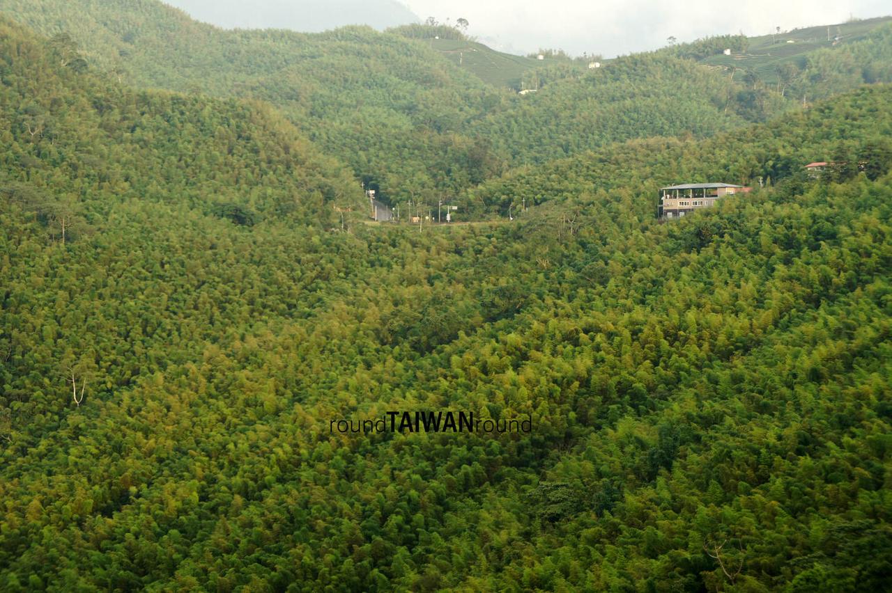Daan_Sea_of_Bamboo_______-007.jpg