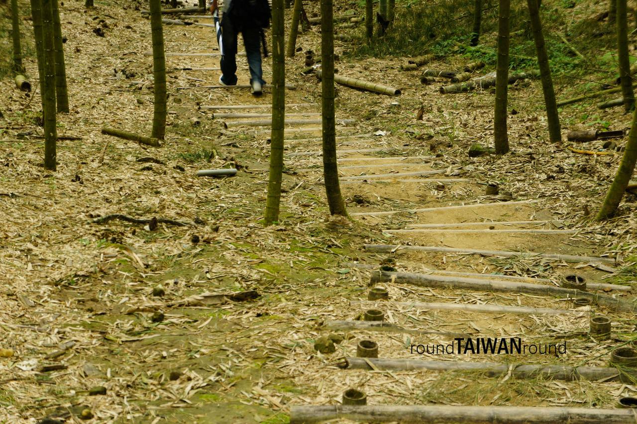 Daan_Sea_of_Bamboo_______-006.jpg