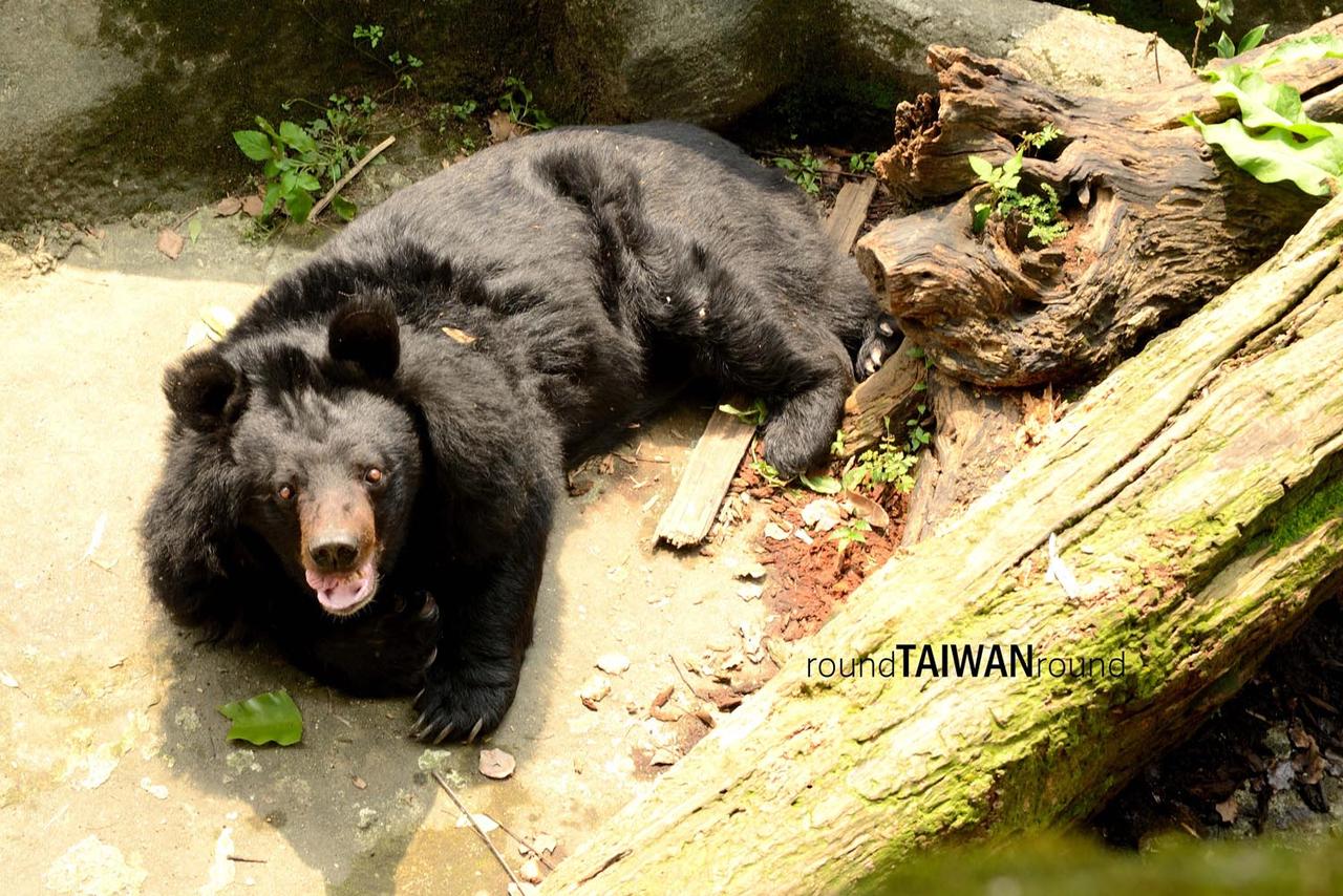 Taipei_Zoo________-002.jpg