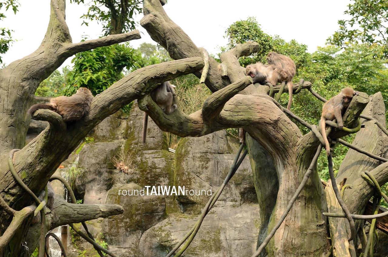 Taipei_Zoo________-004.jpg
