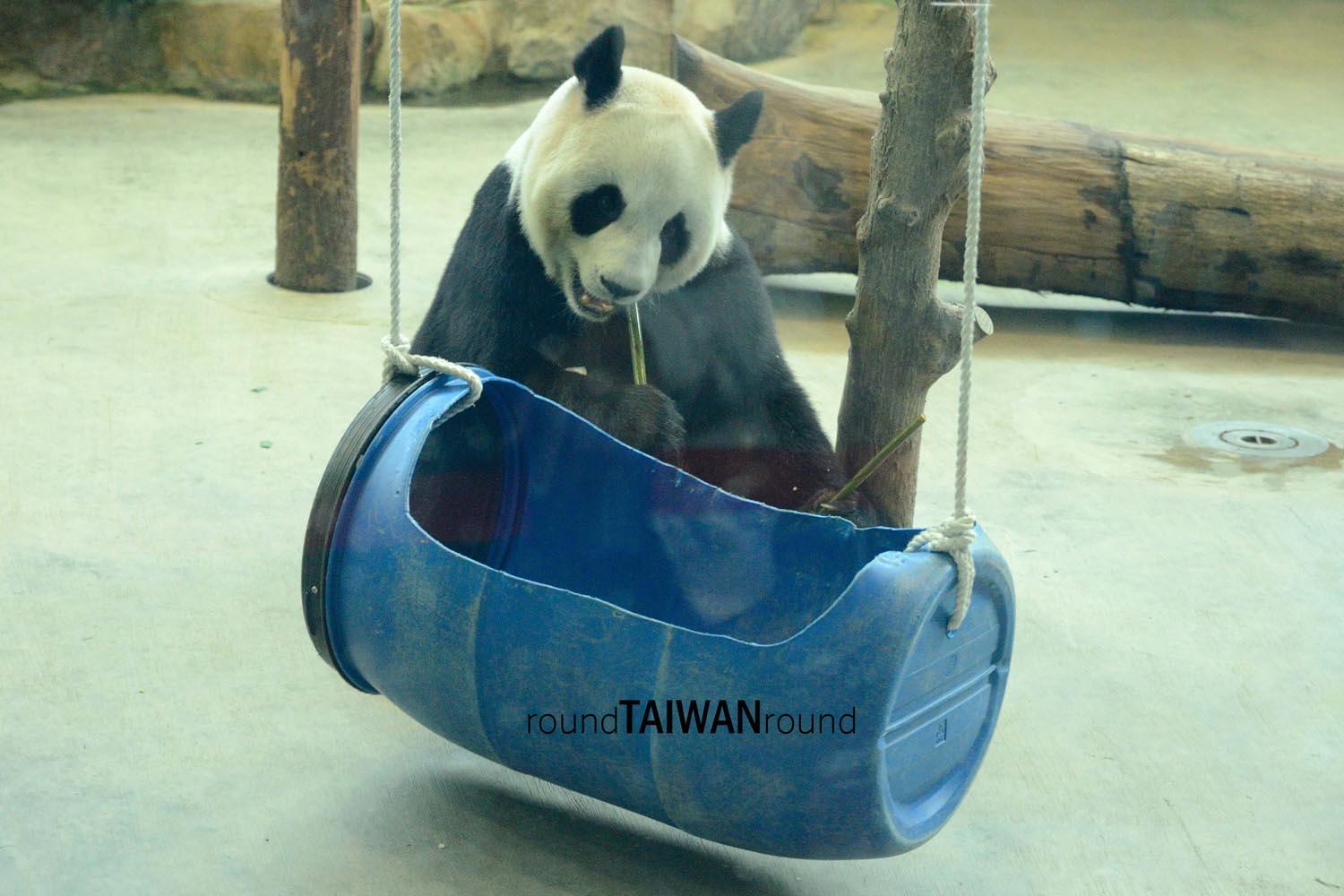 Taipei_Zoo________-006.jpg