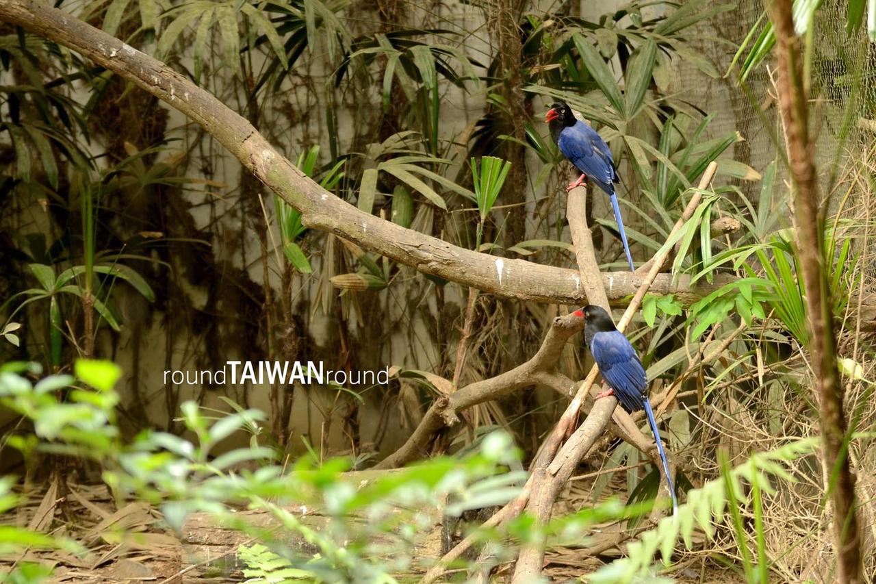 Taipei_Zoo________-013.jpg