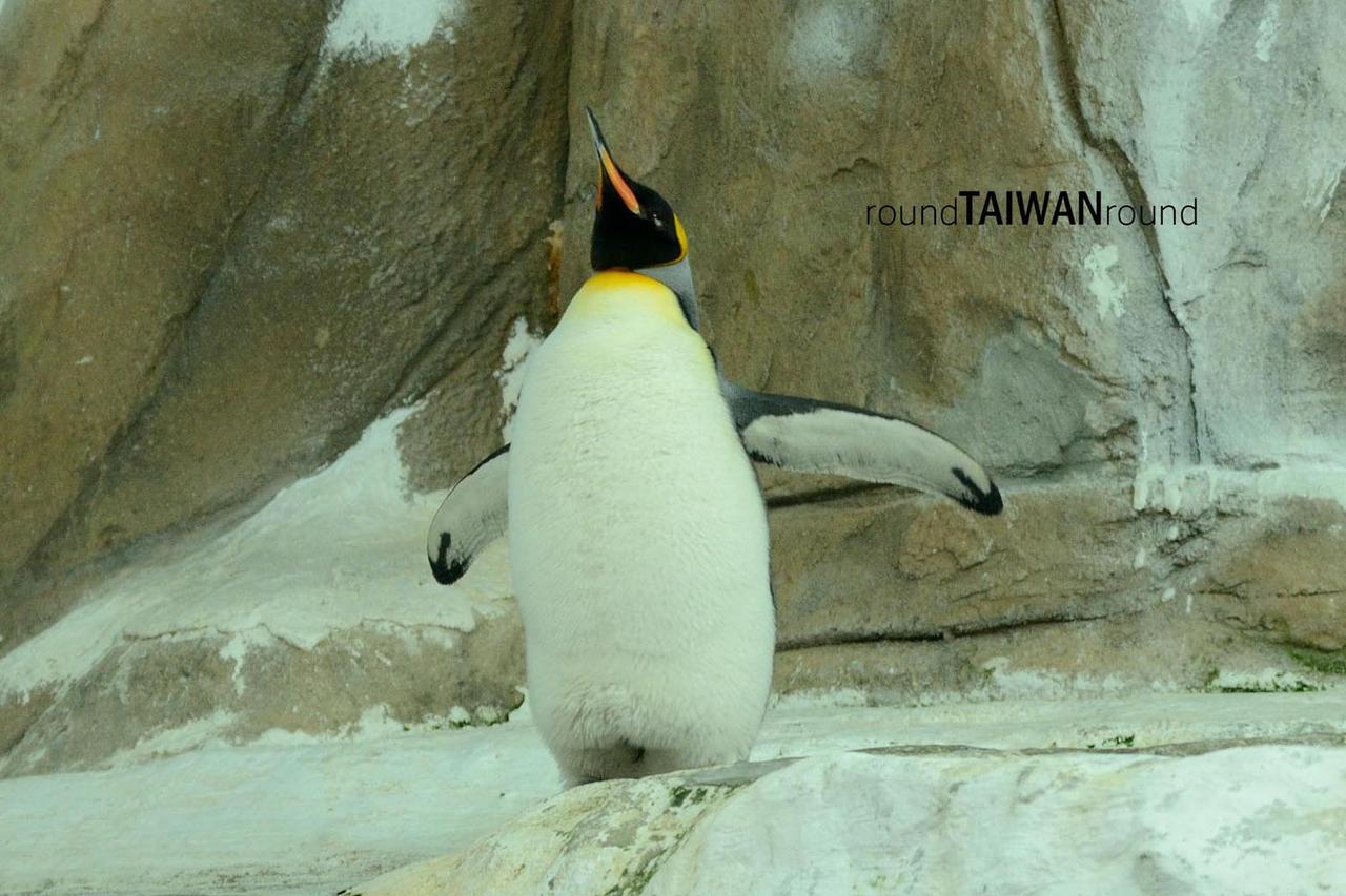 Taipei_Zoo________-024.jpg